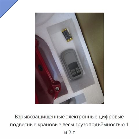Взрывозащищённые электронные цифровые подвесные крановые весы грузоподъёмностью 1 и 2 т