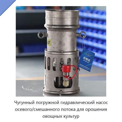Чугунный погружной гидравлический насос осевого/смешанного потока для орошения овощных культур