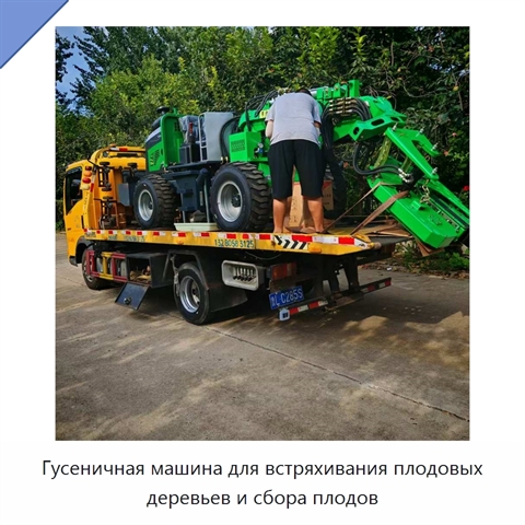 Гусеничная машина для встряхивания плодовых деревьев и сбора плодов