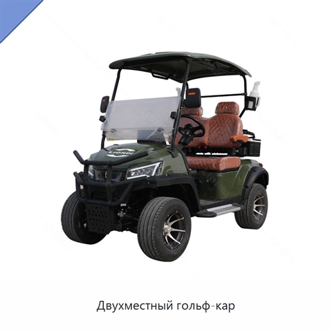 Двухместный гольф-кар