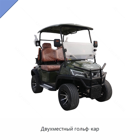 Двухместный гольф-кар