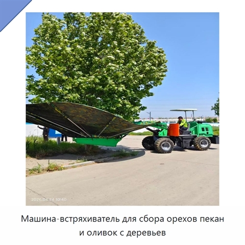 Машина-встряхиватель для сбора орехов пекан и оливок с деревьев