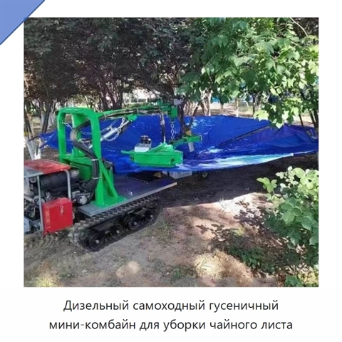 Дизельный самоходный гусеничный мини-комбайн для уборки чайного листа