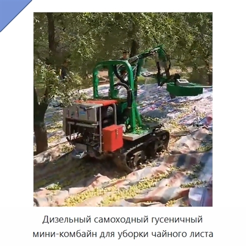 Дизельный самоходный гусеничный мини-комбайн для уборки чайного листа