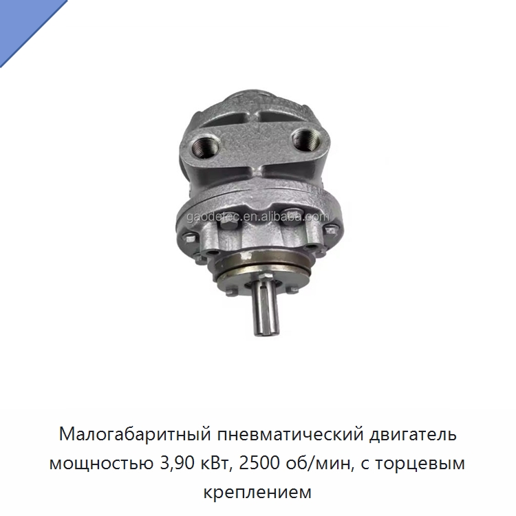 Малогабаритный пневматический двигатель мощностью 3,90 кВт, 2500 об/мин, с торцевым креплением — Прочие пневматические инструменты
