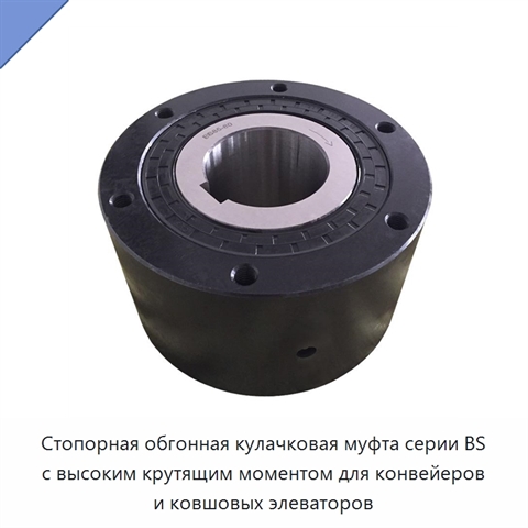Стопорная обгонная кулачковая муфта серии BS с высоким крутящим моментом для конвейеров и ковшовых элеваторов
