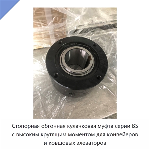 Стопорная обгонная кулачковая муфта серии BS с высоким крутящим моментом для конвейеров и ковшовых элеваторов