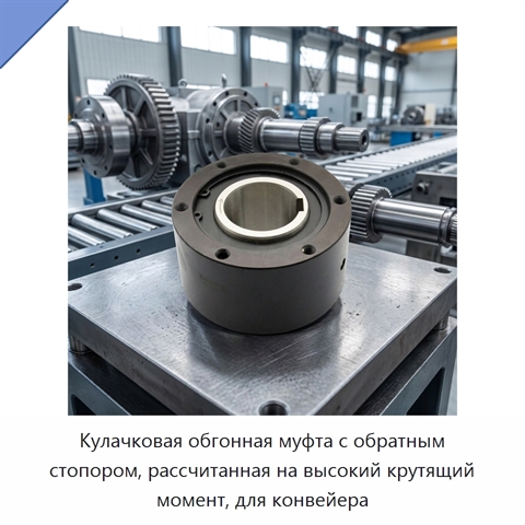 Кулачковая обгонная муфта с обратным стопором, рассчитанная на высокий крутящий момент, для конвейера