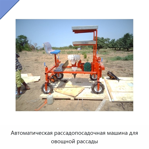 Автоматическая рассадопосадочная машина для овощной рассады