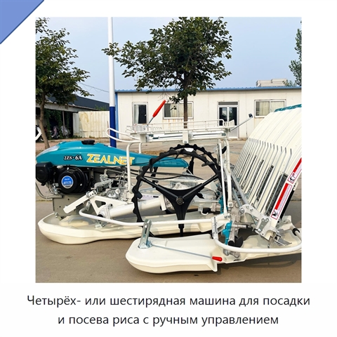 Четырёх- или шестирядная машина для посадки и посева риса с ручным управлением