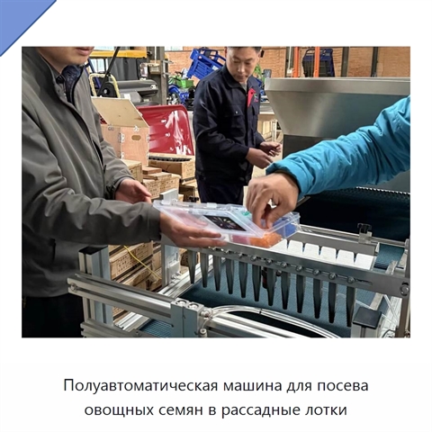 Полуавтоматическая машина для посева овощных семян в рассадные лотки