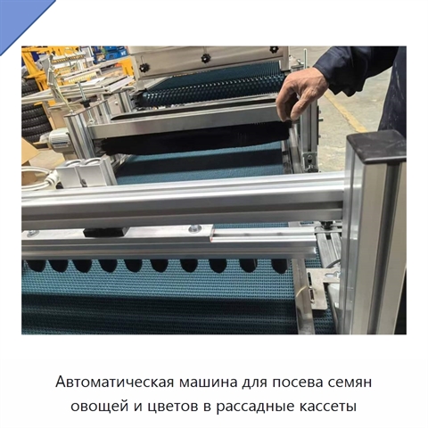 Автоматическая машина для посева семян овощей и цветов в рассадные кассеты