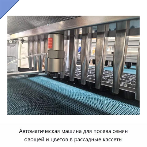 Автоматическая машина для посева семян овощей и цветов в рассадные кассеты