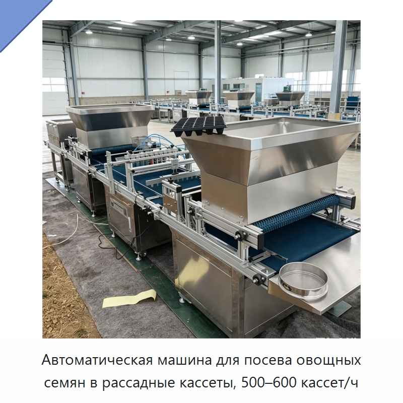 Автоматическая машина для посева овощных семян в рассадные кассеты, 500–600 кассет/ч — Сельскохозяйственные машины