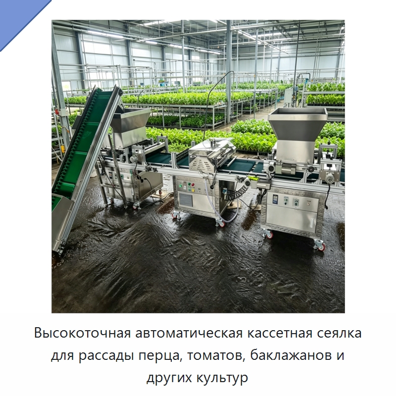Высокоточная автоматическая кассетная сеялка для рассады перца, томатов, баклажанов и других культур — Сельскохозяйственные машины