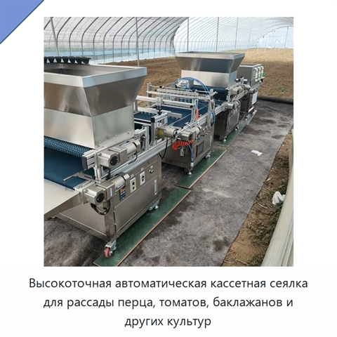 Высокоточная автоматическая кассетная сеялка для рассады перца, томатов, баклажанов и других культур