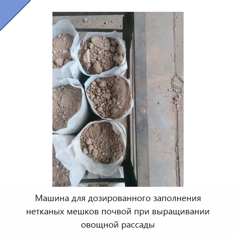 Машина для дозированного заполнения нетканых мешков почвой при выращивании овощной рассады