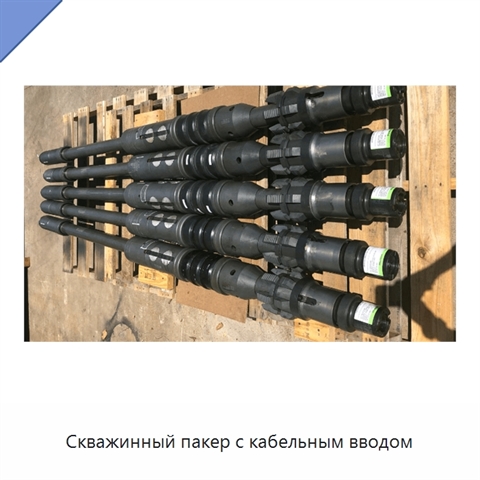 Скважинный пакер с кабельным вводом
