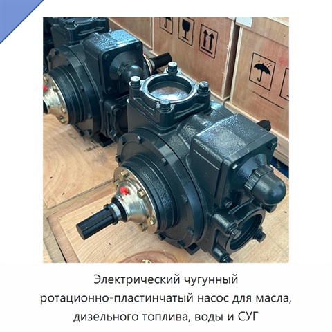 Электрический чугунный ротационно-пластинчатый насос для масла, дизельного топлива, воды и СУГ