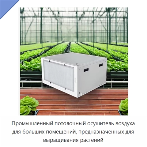 Промышленный потолочный осушитель воздуха для больших помещений, предназначенных для выращивания растений
