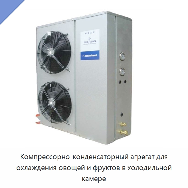 Компрессорно-конденсаторный агрегат для охлаждения овощей и фруктов в холодильной камере — Компрессорно-конденсаторные агрегаты