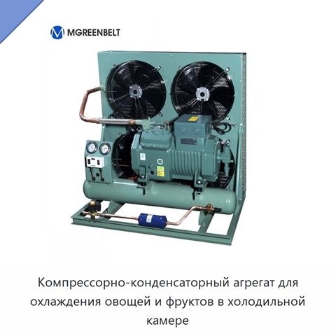 Компрессорно-конденсаторный агрегат для охлаждения овощей и фруктов в холодильной камере