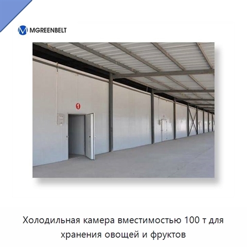 Холодильная камера вместимостью 100 т для хранения овощей и фруктов