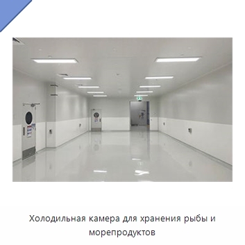 Холодильная камера для хранения рыбы и морепродуктов