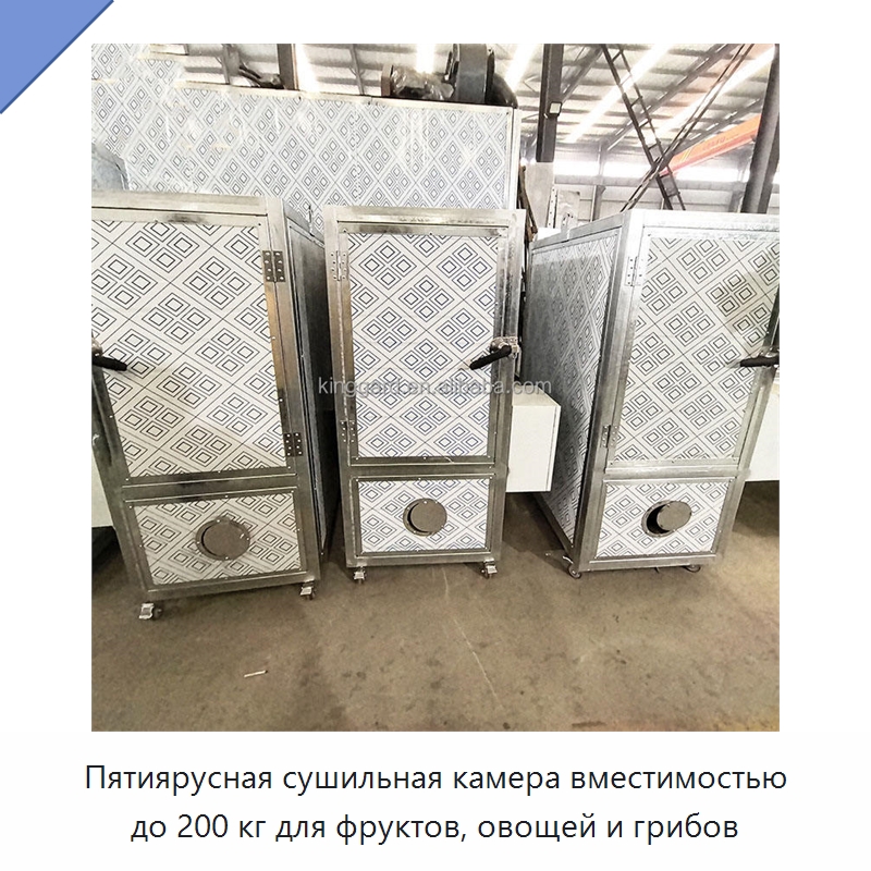 Пятиярусная сушильная камера вместимостью до 200 кг для фруктов, овощей и грибов
