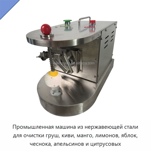 Промышленная машина из нержавеющей стали для очистки груш, киви, манго, лимонов, яблок, чеснока, апельсинов и цитрусовых