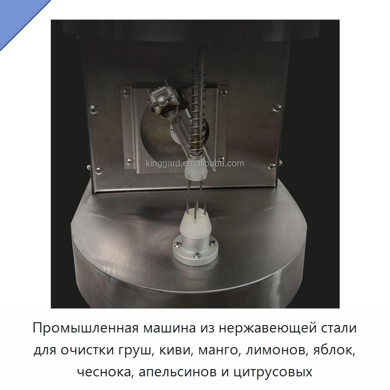 Промышленная машина из нержавеющей стали для очистки груш, киви, манго, лимонов, яблок, чеснока, апельсинов и цитрусовых