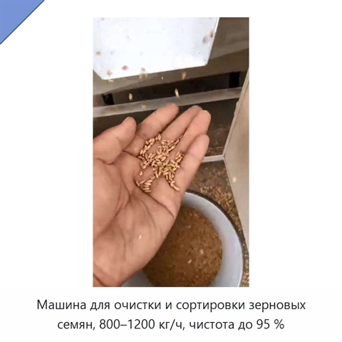 Машина для очистки и сортировки зерновых семян, 800–1200 кг/ч, чистота до 95 %