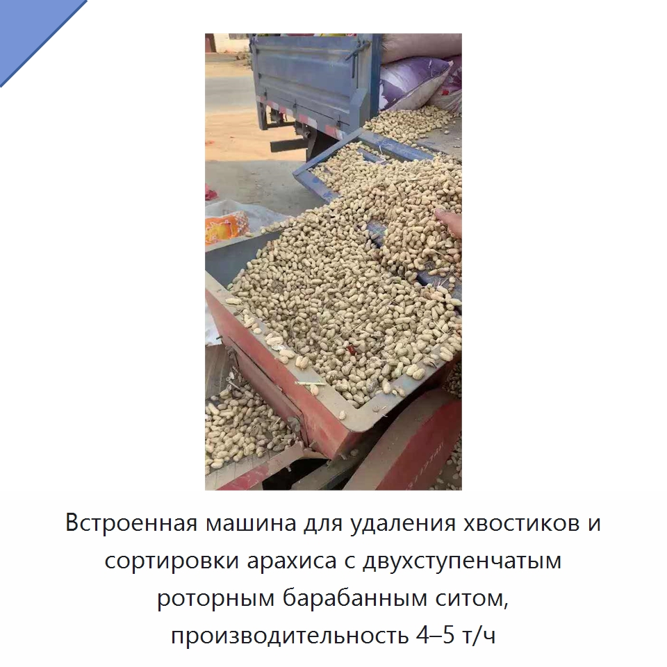 Встроенная машина для удаления хвостиков и сортировки арахиса с двухступенчатым роторным барабанным ситом, производительность 4–5 т/ч