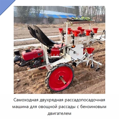 Самоходная двухрядная рассадопосадочная машина для овощной рассады с бензиновым двигателем