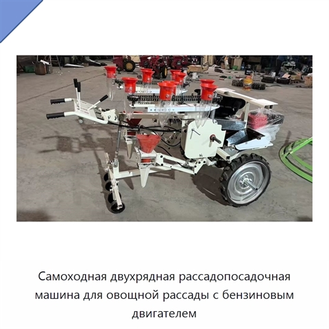 Самоходная двухрядная рассадопосадочная машина для овощной рассады с бензиновым двигателем