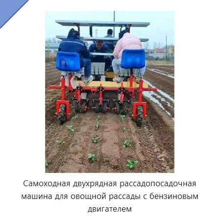 Самоходная двухрядная рассадопосадочная машина для овощной рассады с бензиновым двигателем
