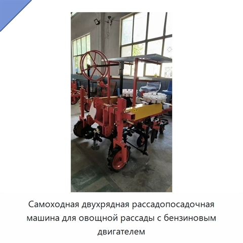 Самоходная двухрядная рассадопосадочная машина для овощной рассады с бензиновым двигателем